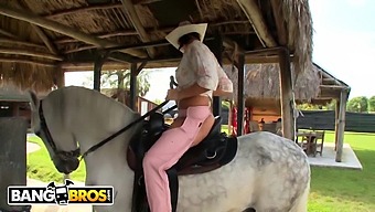 Rachel Starrs Reitfähigkeiten Im Vergleich Zu Ihren Sexuellen Fähigkeiten